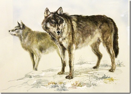 Loups intérieurs